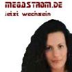 Werden Sie Energieberater